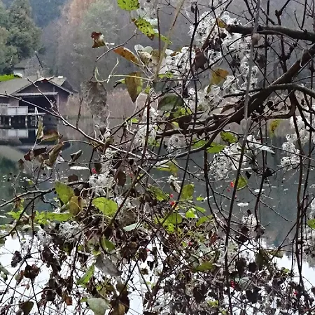 Appartement Karlsbach